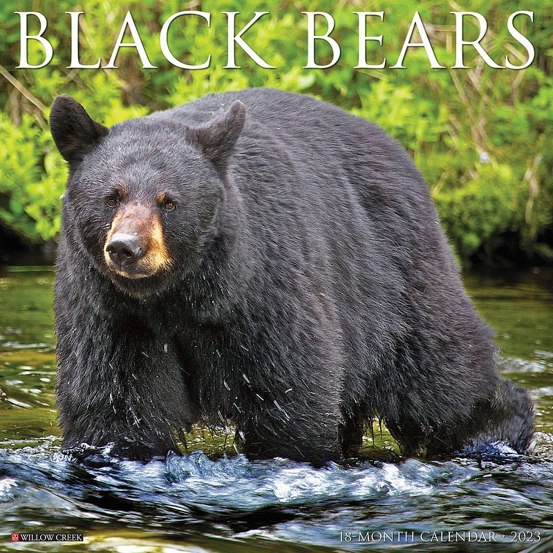 Foto van Black bears kalender 2023