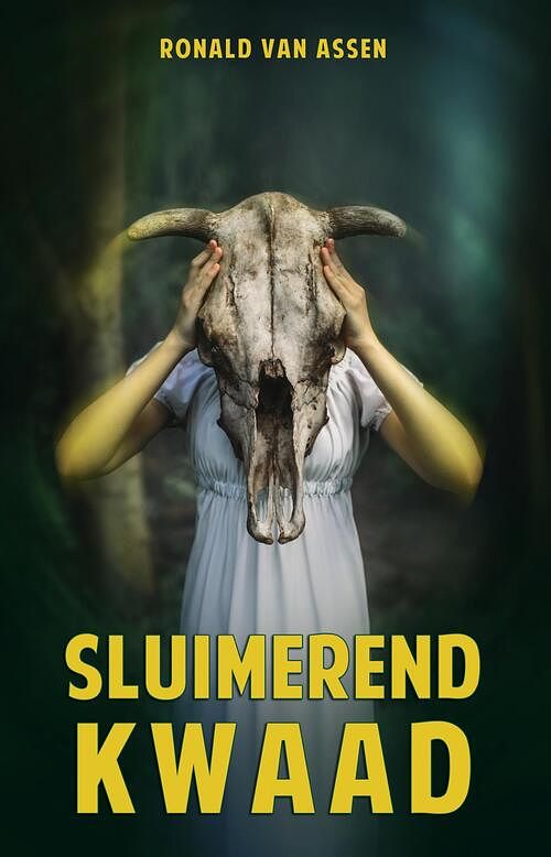 Foto van Sluimerend kwaad - ronald van assen - ebook (9789493233478)