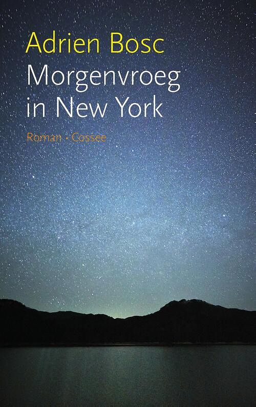 Foto van Morgenvroeg in new york - adrien bosc - ebook (9789059366497)