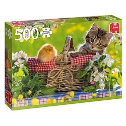 Foto van Jumbo legpuzzel ready for a picnic 500 stukjes