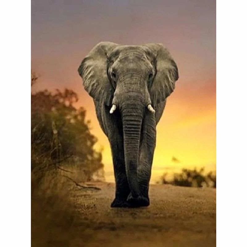 Foto van Evershine diamond painting voor volwassenen olifant ta2-3232 vierkante steentjes 20 x 30