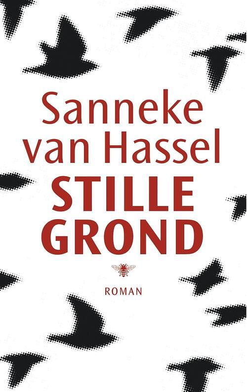 Foto van Stille grond - sanneke van hassel - ebook (9789023474753)