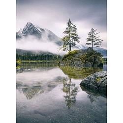 Foto van Wizard+genius foggy day vlies fotobehang 192x260cm 4-banen