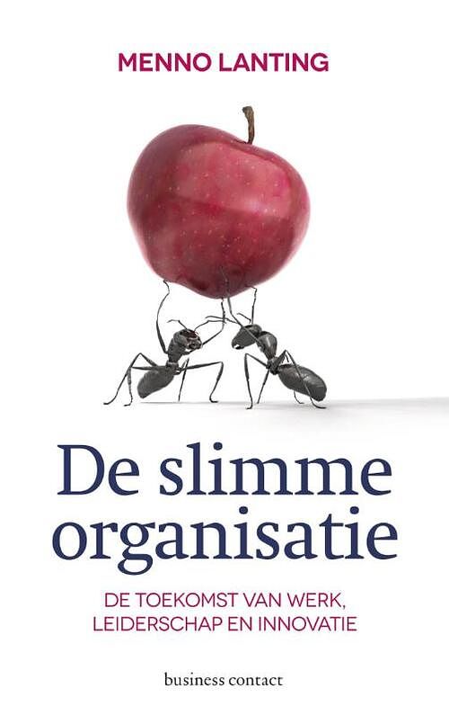 Foto van De slimme organisatie - menno lanting - ebook (9789047006138)