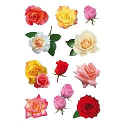 Foto van 33x gekleurde rozen bloemen stickers - stickers