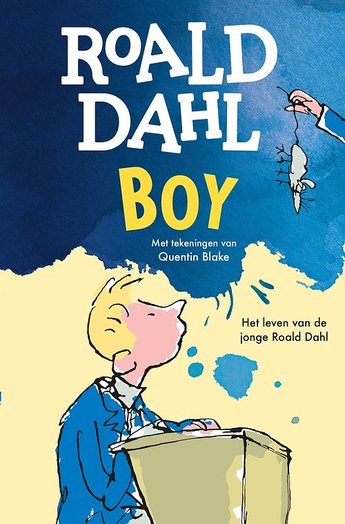 Foto van Boy - roald dahl - ebook