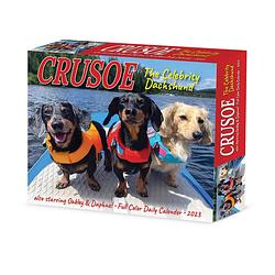 Foto van Crusoe de teckel kalender 2023 boxed