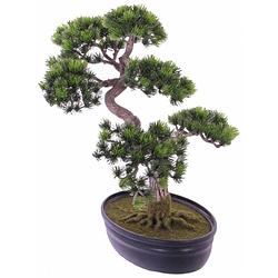 Foto van Kunstplant japanse den bonsai 40 cm - kunstplanten