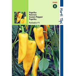 Foto van Hortitops - 2 stuks paprika palladio hybride f1 gele koehoorn
