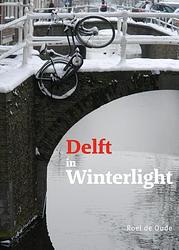 Foto van Delft in winterlight - roel de oude - hardcover (9789462264953)