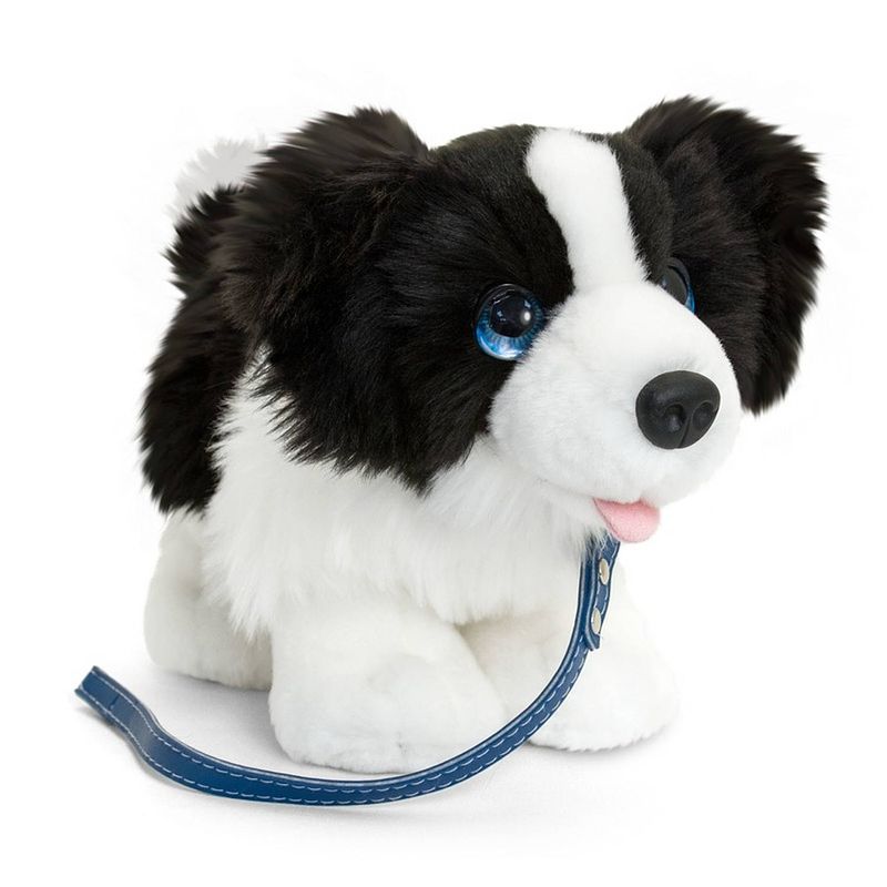 Foto van Border collie honden knuffeldier 30 cm - knuffel huisdieren