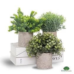 Foto van Greendream® kunstplanten set met 3 kleine kunstplanten - kunstplanten - 20cm hoogte