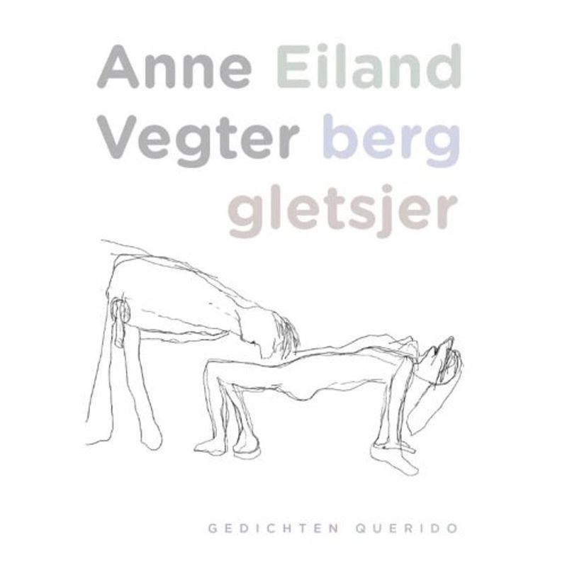 Foto van Eiland berg gletsjer