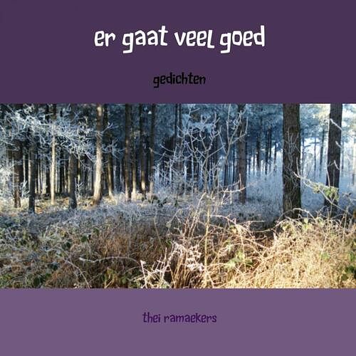 Foto van Er gaat veel goed - thei ramaekers - ebook (9789402112450)