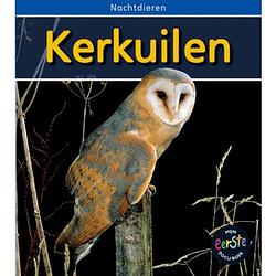 Foto van Kerkuilen - nachtdieren