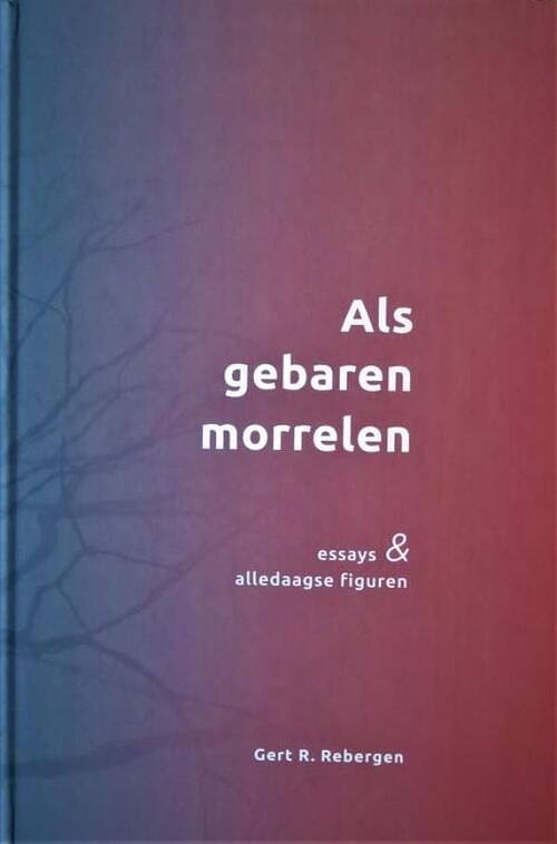 Foto van Als gebaren morrelen - gert r. rebergen - ebook (9789464650341)