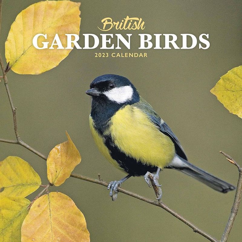 Foto van Garden birds kalender 2023 mini