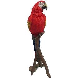 Foto van Dierenbeeld rode papegaai op stam 30 cm - tuinbeelden