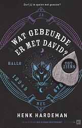 Foto van Wat gebeurde er met david? - henk hardeman - ebook (9789000383498)