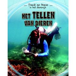 Foto van Het tellen van dieren - track & trace in het