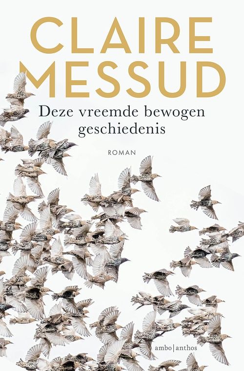 Foto van Deze vreemde bewogen geschiedenis - claire messud - ebook