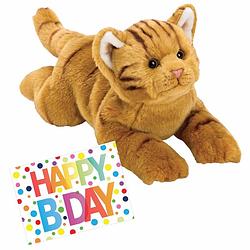 Foto van Pluche knuffel rode kat/poes 33 met a5-size happy birthday wenskaart - knuffel huisdieren