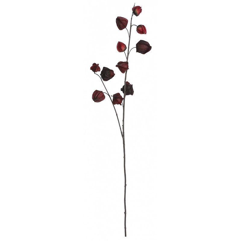 Foto van Mica decorations decoratietak lampionplant 94 cm rood