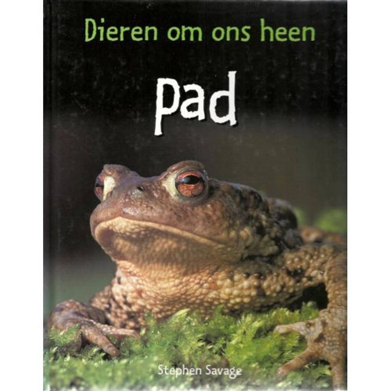 Foto van Pad - dieren om ons heen