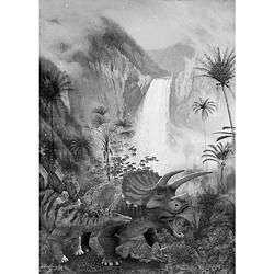 Foto van Komar jurassic waterfall vlies fotobehang 200x280cm 4-banen