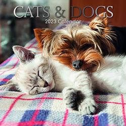 Foto van Cats and dogs kalender 2023