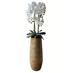 Foto van Levensechte kunst orchidee / phalaenopsis plant 75 cm met pot - witte kunst orchidee - kunstplanten