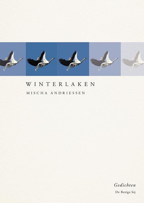 Foto van Winterlaken - mischa andriessen - ebook (9789403154206)