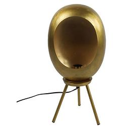 Foto van Non-branded staande lamp eggy 25w 24,5 x 52,5 cm e27 staal goud