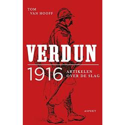 Foto van Verdun 1916