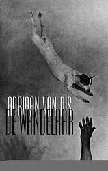 Foto van De wandelaar - adriaan van dis - ebook (9789045702384)