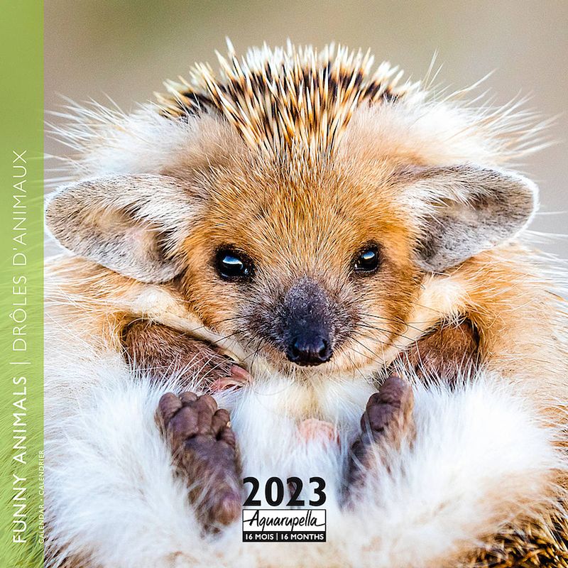 Foto van Funny animals kalender 2023