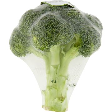 Foto van Jumbo broccoli biologisch 2 personen