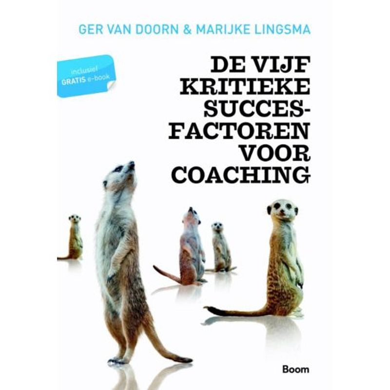 Foto van De vijf kritieke succesfactoren voor coaching