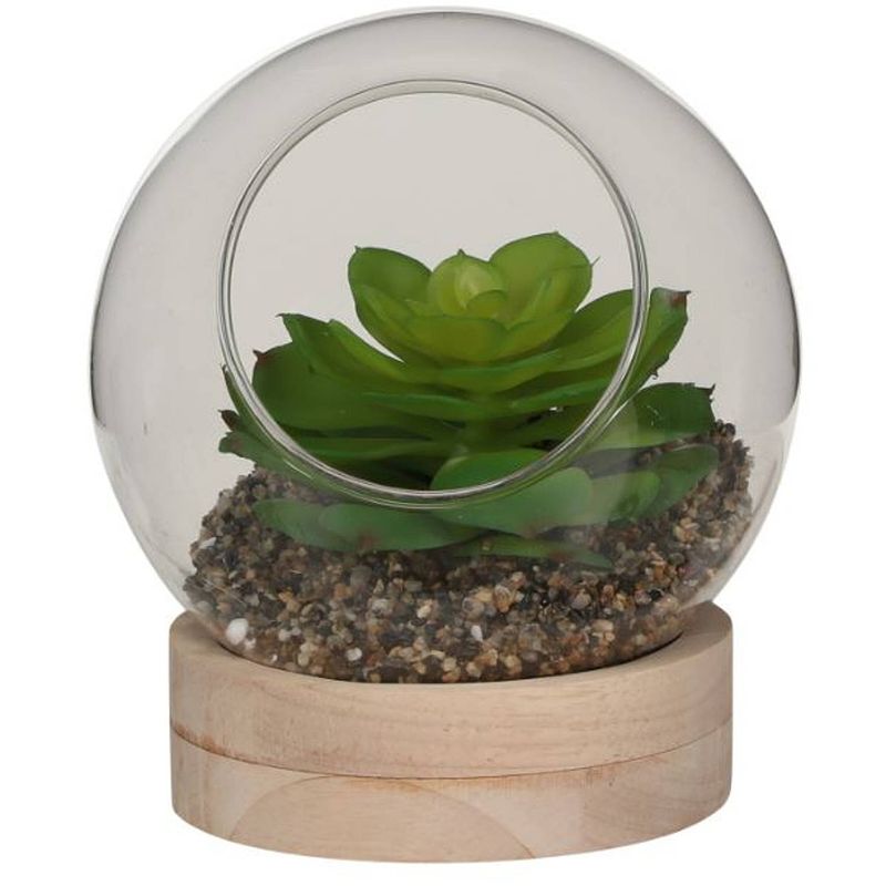 Foto van Mica decorations vetplant in glas 14 x 16 cm glas/hout bruin/groen