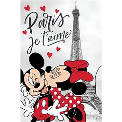 Foto van Disney minnie mouse fleece deken paris - 100 x 150 cm - grijs