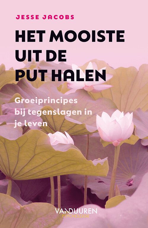 Foto van Het mooiste uit de put halen - jesse jacobs - ebook (9789089656339)