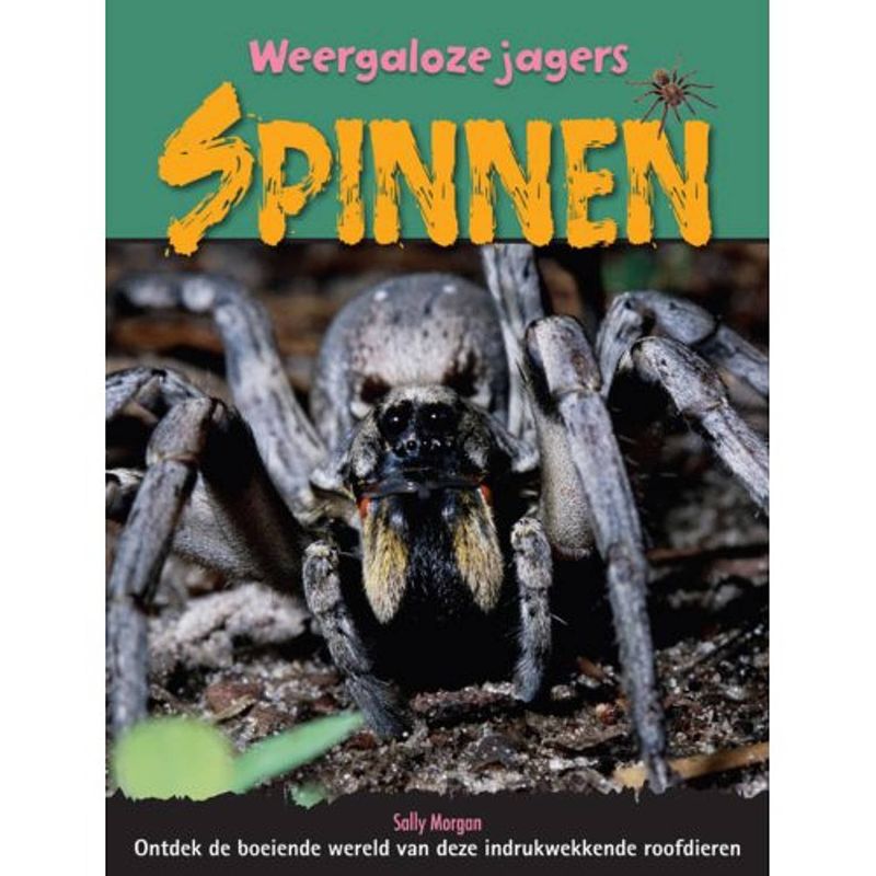 Foto van Spinnen - weergaloze jagers