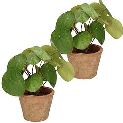 Foto van 2x stuks kunstplanten pannekoekplant groen in pot 25 cm - kamerplanten groen pilea