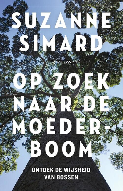 Foto van Op zoek naar de moederboom - suzanne simard - ebook (9789044639568)