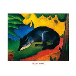 Foto van Franz marc - fuchs kunstdruk 80x60cm