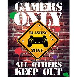 Foto van Gbeye gamers only controller keep out poster 40x50cm