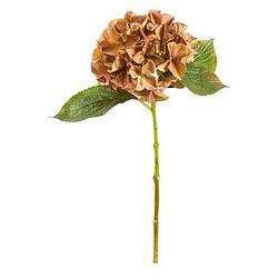 Foto van Kunstbloem hydrangea stem - paars - 47 cm - leen bakker