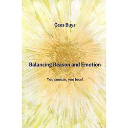 Foto van Balancing reason and emotion