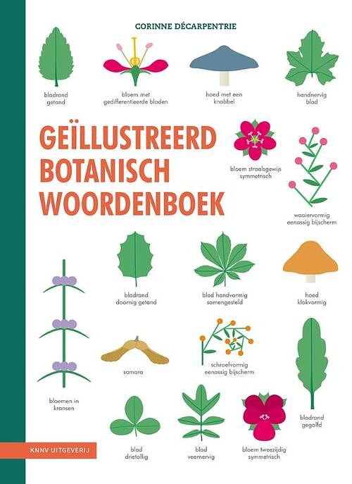 Foto van Geïllustreerd botanisch woordenboek - corinne décarpentrie - paperback (9789050118293)