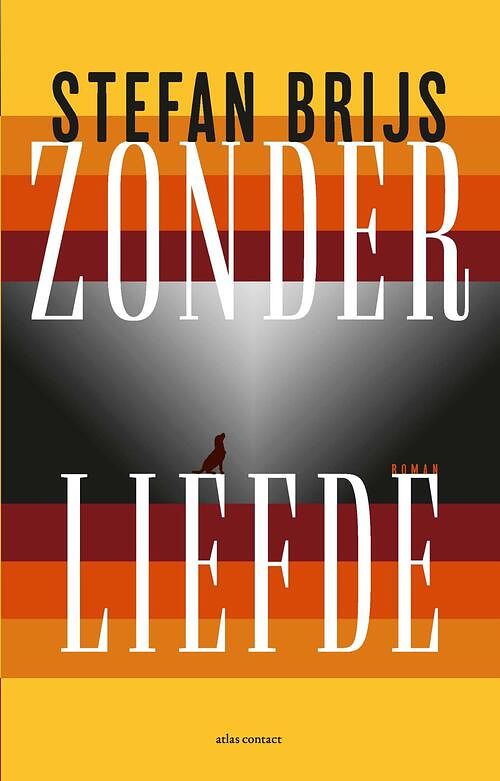 Foto van Zonder liefde - stefan brijs - ebook (9789025452698)